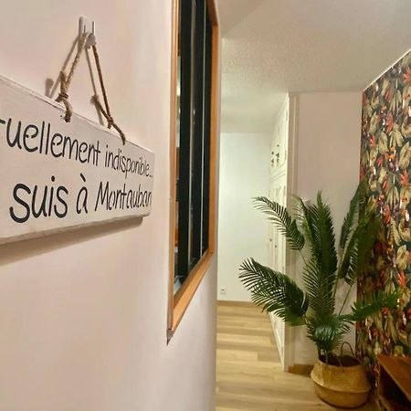 Apartmán Le Point Virgule - Parking Prive - Climatisation Montauban Exteriér fotografie