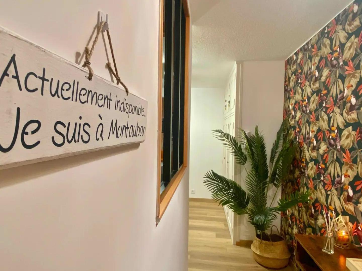 Apartmán Le Point Virgule - Parking Prive - Climatisation Montauban Exteriér fotografie